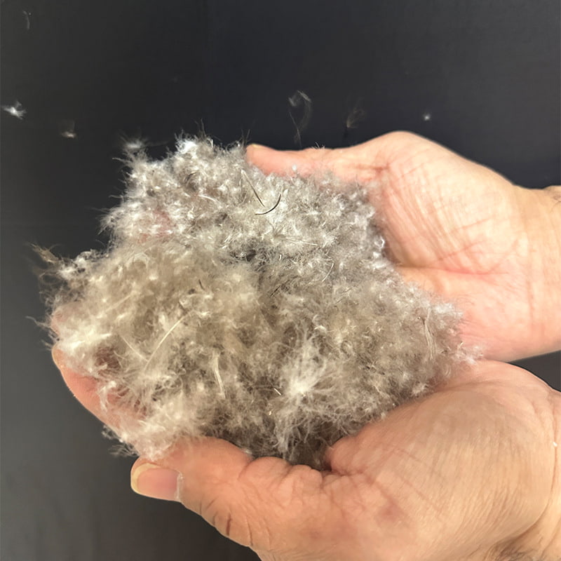 LXXX% Grey Duck Down