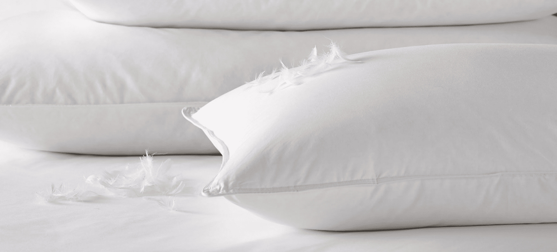 Zhejiang Shengjie Down Products Co, Ltd.