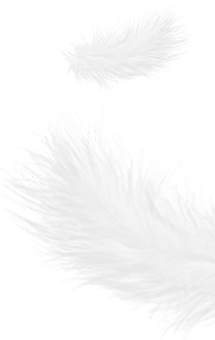 Zhejiang Shengjie Down Products Co, Ltd.