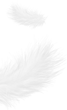 Zhejiang Shengjie Down Products Co, Ltd.