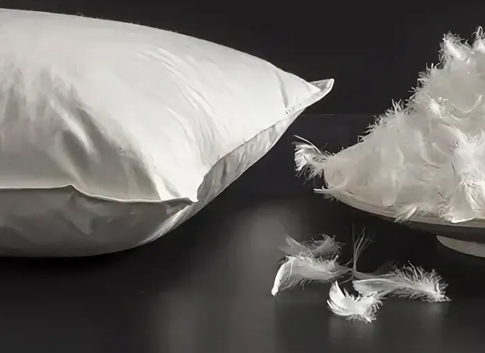 Zhejiang Shengjie Down Products Co, Ltd.