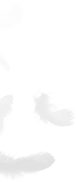 Zhejiang Shengjie Down Products Co, Ltd.